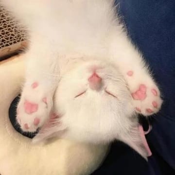 Ảnh đại diện người dùng Mai